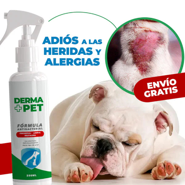 DERMA + PET