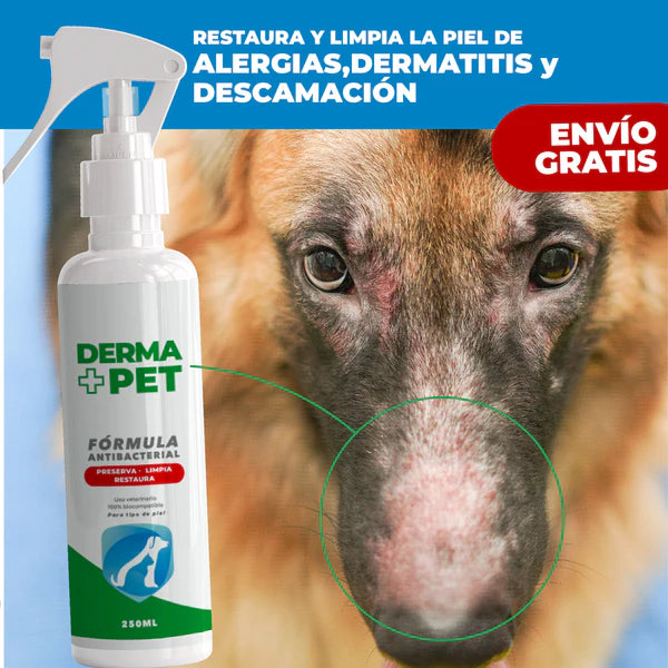 DERMA + PET