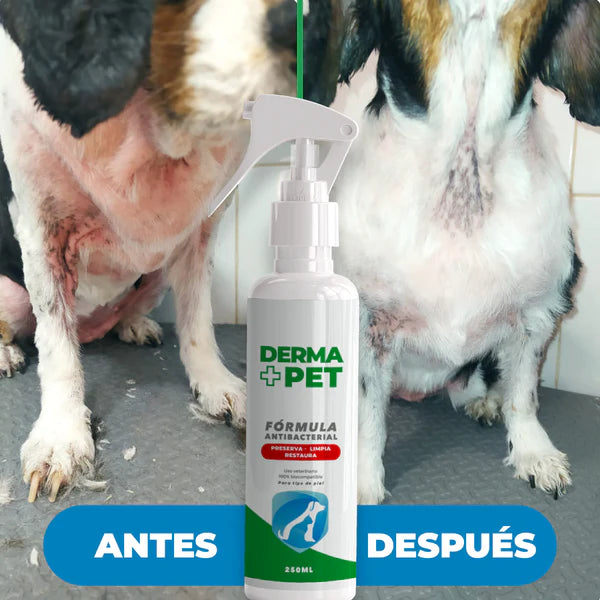 DERMA + PET